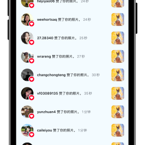 instagram點讚