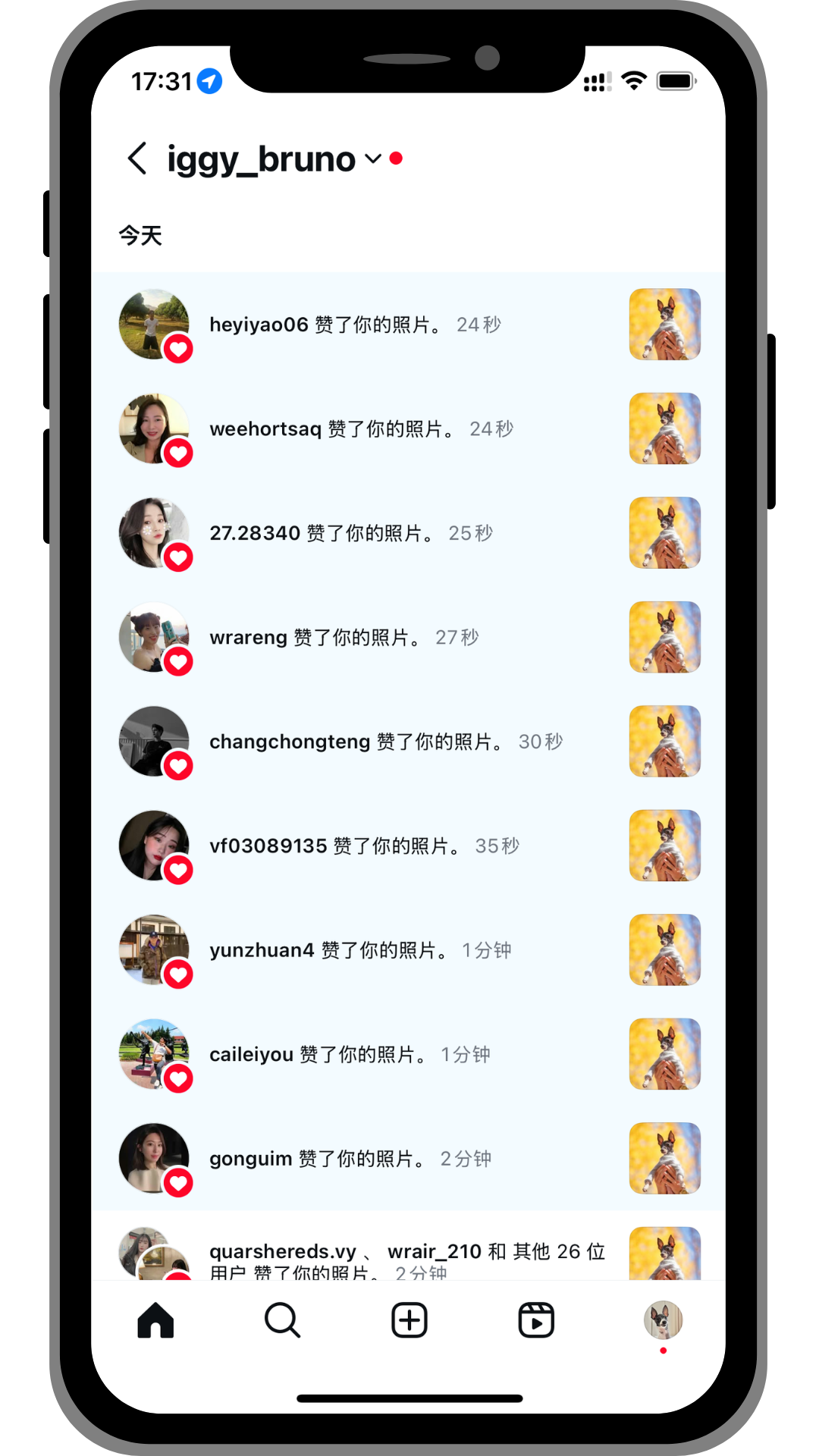 instagram點讚